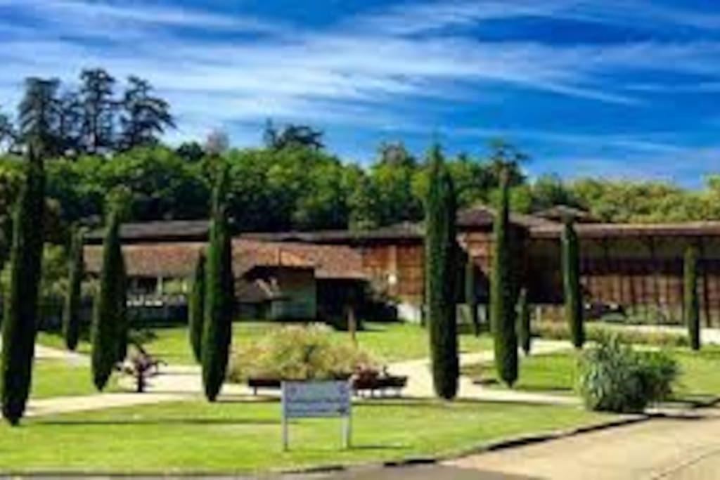 Studio 2 Lits Barbotan Les Thermes Cazaubon エクステリア 写真